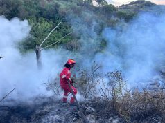 Alarm për zjarret në vend: 20 vatra në 24 orë, 4 ende aktive – Dëme në mbi 50 ha bimësi dhe 90 rrënjë ullinj