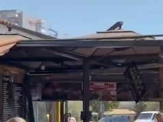 Bizneset në Pazarin e Ri nisin lirimin e hapësirave publike pas urdhrit të Ramës