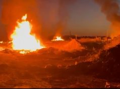 Vlorë/ Arrestohet 38-vjeçari që ndezi zjarr në mbetje urbane, rrezikoi zonën e mbrojtur të pyllit të Sodës