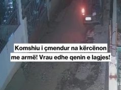 Fier/Ngjarje tronditëse – Banorët jetojnë në terror, burri vret me armë qenin e lagjes