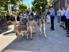 Avokati Arianit Koci sjell gomarë para Kuvendit të Kosovës në protestë simbolike: “Shteti në bllokadë, populli në pritje”