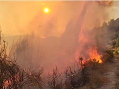 Zjarri i përmasave të mëdha në Mallakastër, digjen ullishte dhe sipërfaqe me shkurre! Era e fortë dhe terreni vështirësojnë ndërhyrjen e zjarrfikësve