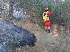 Zjarret përfshijnë Shqipërinë: 20 vatra të raportuara në 24 orët e fundit, 150 hektarë të djegura