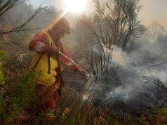Situata alarmante e zjarreve në vend: 24 vatra në 24 orë, 4 ende aktive. Rreziku për zjarre në pyje është “i lartë” në qarqet Tiranë, Elbasan, Fier, Berat, Korçë dhe Gjirokastër,