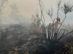Shqipëria përballet me 18 vatra zjarri – 8 ende aktive,