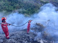 Situata e Zjarreve në Vend: 22 Vatra të Raportuara, 11 Ende Aktive