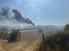 Operacion i suksesshëm në Belsh – Fiket zjarri që rrezikonte zonat e banuara