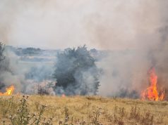 Situata e zjarreve në vend: 12 vatra, disa nën kontroll