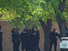 E rëndë në Teksas/ Nëna lë vajzën 9-vjeçe për 8 orë të mbyllur në makinë, e mitura ndërron jetë nga i nxehti