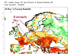 Europa përballet me thatësirë dhe temperatura ekstreme – Reshjet e pritshme në korrik mund të sjellin lehtësim të përkohshëm, por rreziku rikthehet në fund të muajit