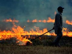 Situata me zjarret/ Policia e Shtetit nis procedimet dhe arrestimet për 12 autorë të dyshuar për zjarrvënie