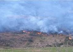 Situata e zjarreve në vend mbetet shqetësuese: 18 vatra të raportuara në 24 orët e fundit, 3 ende aktive