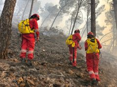 AKMC: 2 vatra aktive zjarri në Shqipëri, rrezik i lartë në pothuajse të gjitha qarqet