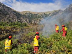 Situata e zjarreve, 21 vatra në 24 orë, nga të cilat 5 janë ende aktive.