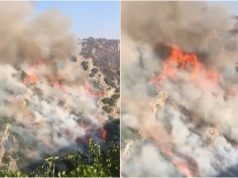 Qeveria, paketë mbështetëse për dëmet e shkaktuara nga zjarret