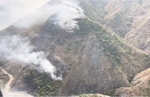 Zjarret nuk ndalen, 26 vatra në 24 orë! Situatë problematike në Dajt, katër helikopterë në operacion