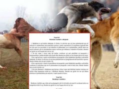Drafti i Kodit të Ri penal/ Braktisja e kafshëve vepër penale, dënohet deri në 3 vite burg! 3 vite edhe për keqtrajtimin, ndëshkim për organizatorët e ndeshjeve