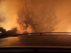 Vlorë, dyshime për zjarrvënie të qëllimshme në Dukat, Drashovicë dhe Vajzë. MB: grupi i strukturuar kriminal vepron natën…