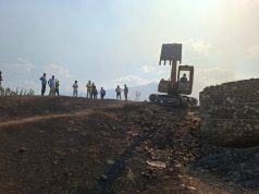 Frika nga epidemitë – nis groposja e kafshëve të ngordhura në Gramsh. Videot me kafshët që mundën të shpëtoheshin “pushtojnë” rrjetin