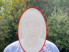 Polakët zihen për Shqipërinë. Guida turistike tregon si u bë për spital gjatë një udhëtimi