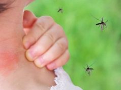 Virusi i Nilit, 10 viktima vetëm në Itali