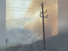 Zjarr në kodrat në Selenicë, ndërhyjnë zjarrfikësit, pritet ndërhyrje edhe nga ajri