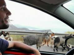 “Mos u mbështetni te Google Maps”/ Gazetari gjerman: Gjashtë mësime për pushimet në Shqipëri