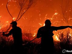 64 vatra zjarri, nga të cilat 24 mbeten aktive.