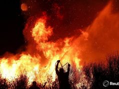 Rama: Zjarret nën kontroll, ndëshkim maksimal për ata që i shkaktojnë