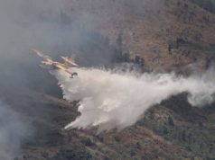 Rama e nis ditën duke iu hakërryer kritikëve për zjarret: me neveri për lehaqeniet që vazhdojnë avazin e tyre të krehjes para pasqyrave mediatike