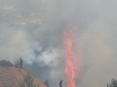 Këtë verë, 137 autorë zjarrvëniesh të identifikuar nga Policia e Shtetit, 46 të arrestuar