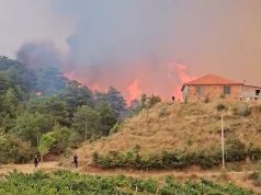 Zjarret në Shqipëri: situata më e stabilizuar, por vatrat mbeten aktive