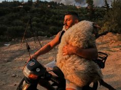 U fotografua me delen në krahë duke e shpëtuar nga zjarret, kush është i riu shqiptar që u kthye hero në Greqi!