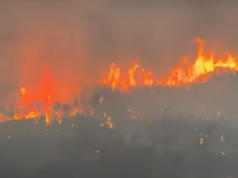 Zjarr pranë uzinës së Poliçanit, rrezik për magazinat me lëndë plasëse – në alarm ushtria dhe emergjencat