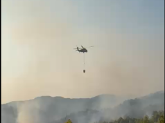 Zjarr në pyjet mes Mallakastrës dhe Patosit, forcat e armatosura dhe emergjencat civile në terren