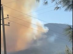 Tre vatra zjarri në vend: Vlora, Selenica dhe Kruja përfshihen nga flakët