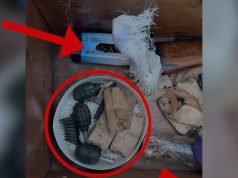 Sekuestrohen 1 armë zjarri automatik, municion luftarak dhe 3 granata. Vihet në pranga 19-vjeçari që i mbante të fshehura në banesën e tij, në Laç.