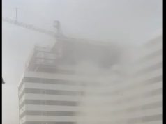 Stuhi në Tiranë, pemët bien mbi automjetet për shkak të erës së fortë