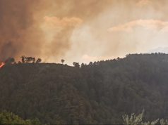 THIRRJE URGJENTE! Urdhër evakuimi në Gramsh. Humb jetën i moshuari që ndezi zjarrin te kopshti i shtëpisë