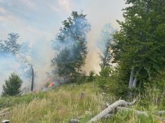 Zjarri në Kolonjë, rrezikohet Rezervati i Mbrojtur Gërmenj-Shelegur