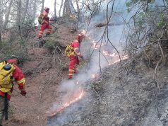 Vera drejt fundit, por zjarret jo/ Flakët rrezikojnë pyjet dhe banesat; 12 vatra në të gjithë Shqipërinë