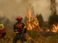 Studimi: Tymi mund të ndikojë te njerëzit shumë më tepër sesa vetë zjarret