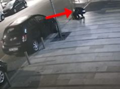 Hapte kapakët e pusetave dhe vidhte kabujt elektrikë të rrugëve, arrestohet hajduti në Durrës