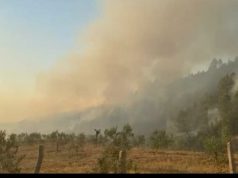 Poliçan – Vijon përballja me flakët pranë Azilit të të Moshuarve