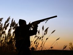 Vrasje në gjueti. Humb jetën një person në Berat