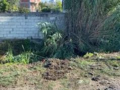 Aksident i rëndë në Lushnje, 1 i vdekur dhe 3 të plagosur