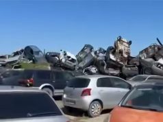 Automjetet e sekuestruara, Rama: Të përdorshmet kalojnë për institucionet shtetërore