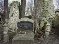 Shqipëria pa varreza për kafshët: një boshllëk që duhet mbushur. Ja si veprohet nëpër botë