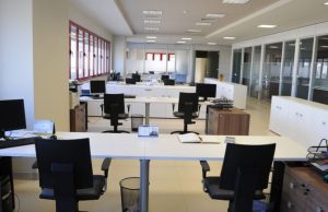 Pushim për stres dhe leje për kafshët shtëpiake, si po ndryshon tregu i punës në vitin 2026