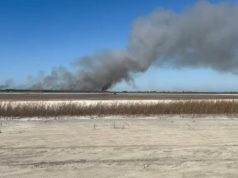 Bregdeti i Semanit në flakë, era favorizon përhapjen e zjarrit, rrezikohet habitati i specieve të egra